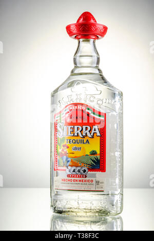 Sierra Tequila auf Farbübergang Hintergrund Stockfoto