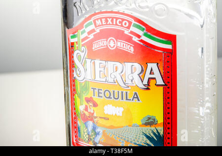 Sierra Tequila auf Farbübergang Hintergrund Stockfoto