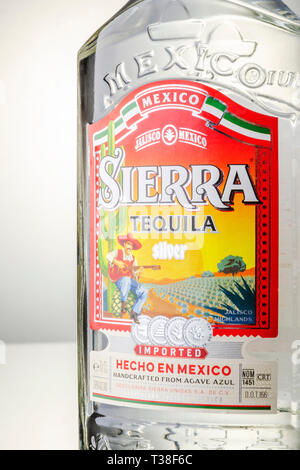 Sierra Tequila auf Farbübergang Hintergrund Stockfoto