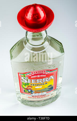 Sierra Tequila auf Farbübergang Hintergrund Stockfoto