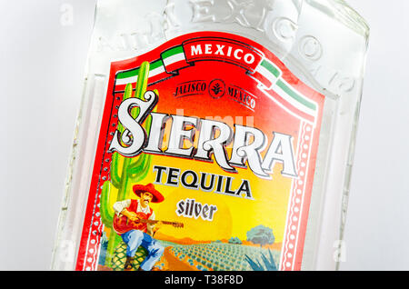 Sierra Tequila auf Farbübergang Hintergrund Stockfoto