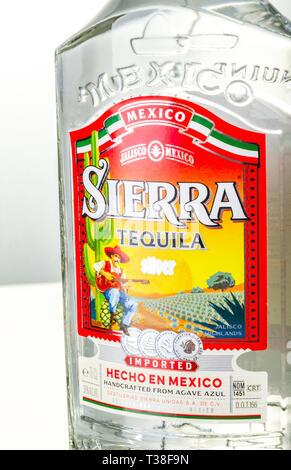 Sierra Tequila auf Farbübergang Hintergrund Stockfoto