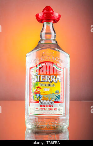 Sierra Tequila auf Farbübergang Hintergrund Stockfoto