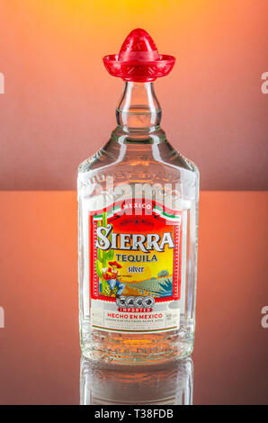 Sierra Tequila auf Farbübergang Hintergrund Stockfoto