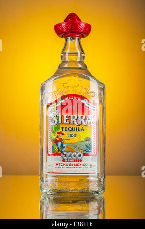 Sierra Tequila auf Farbübergang Hintergrund Stockfoto