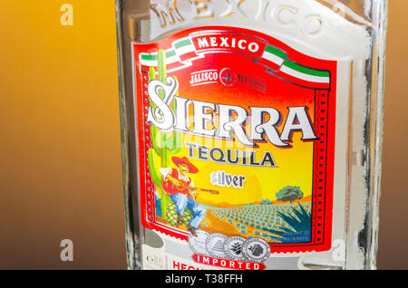 Sierra Tequila auf Farbübergang Hintergrund Stockfoto