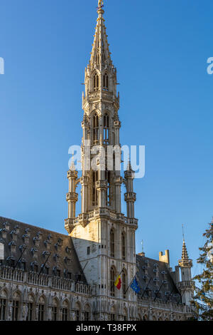 Der Turm des Brüsseler Rathaus in Brabantine gotischen Stil mit üppig pinnacled achteckigen Openwork. Stockfoto