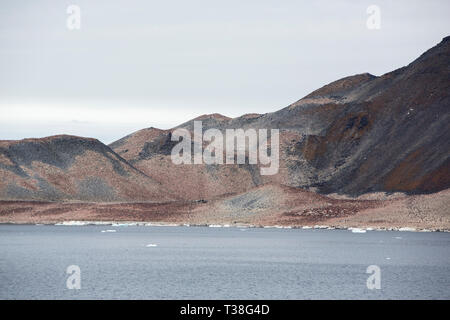 Eine massive Adelie Pinguin Kolonie auf Paulet Island Weddellmeer, Antarktis. Stockfoto