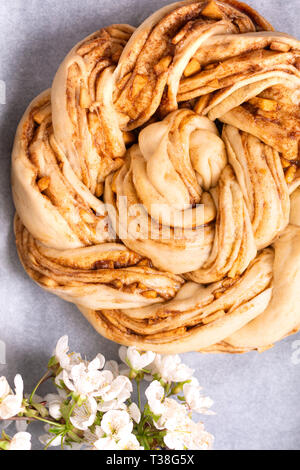 Lebensmittel Bäckerei Konzept Brotbacken dought für Apple Cinnamon Roll Zopfbrot mit Kopie Raum Stockfoto