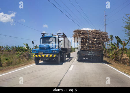 Zuckerrohr LKW Transport im Norden von Cebu mit Zuckerrohr Felder Bananenstauden und Palmen auf einer Landstraße eine philippinische ländliche Szene Stockfoto