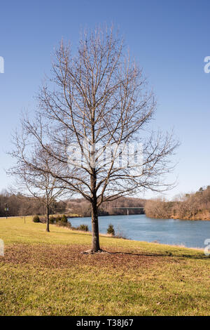 Das Melton Hill Damm wurde von TVA gebaut, um die Region zu Service. Es ist ein populärer Freizeit Website, aber es gibt die anhaltende Besorgnis über Verschmutzung. Stockfoto