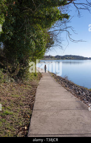 Das Melton Hill Damm wurde von TVA gebaut, um die Region zu Service. Es ist ein populärer Freizeit Website, aber es gibt die anhaltende Besorgnis über Verschmutzung. Stockfoto