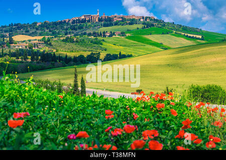 Beliebtes Reiseziel, erstaunliche Toskana Dorf auf dem Hügel mit sommerlichen Getreidefeldern andblooming roter Mohn, Pienza, Toskana, Italien, Europa Stockfoto