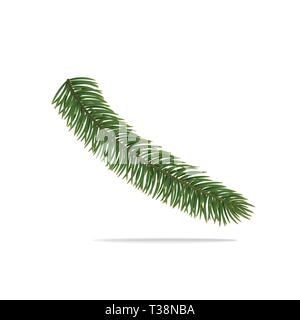 Vector Illustration eines niedlichen Fir-Zweig ist auf weißem Hintergrund. Die Niederlassung hat ein Grün und Gelb eine der Weihnachtsbaum Nadeln Stock Vektor