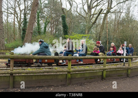 Familien genießen den Fahrten auf der Miniatur Dampfzüge und Eisenbahn in Frimley Lodge Park, Frimley, Surrey, Großbritannien Stockfoto