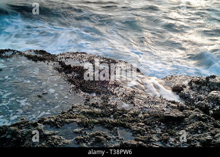 Ein immer noch und scharfen tide pool im Vordergrund mit einem beweglichen verschwommen Ozean Fläche hinter. Stockfoto