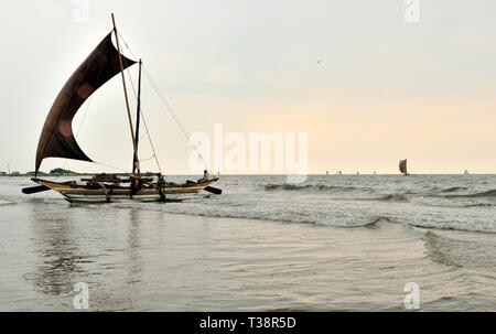Fischer und traditionelle Ausleger gegraben-out Kanu, Negombo Strand, Western Province, Sri Lanka, Asien Stockfoto