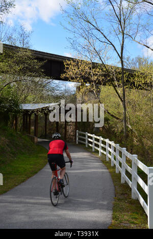 Ein Radfahrer Fahrten durch ein Waldgebiet entlang der Neuse River Trail bei einem warmen Frühlingstag in Raleigh, North Carolina. Stockfoto