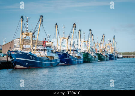 Angedockt Fischerboote im alten Hafen von Oudeschild auf der Insel Texel Stockfoto