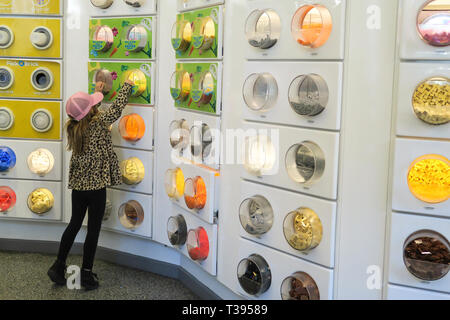 LEGO Spielzeug Plastikziegelsteine Display, LEGO Store, NYC Stockfoto