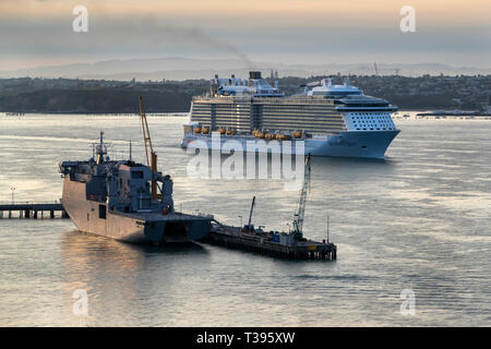 Ovation der Meere in den Waitemata Harbour, HEMIGRAMMUS Canterbury, Auckland, Neuseeland, Sonntag, 17. März 2019. Foto: David Rowland/One-Image Stockfoto