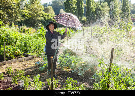 Porträt einer Frau, die in ihrem Garten Grundstück in einer gemeinschaft Garten in Seattle, Washington, USA. Marra Farmen. Stockfoto