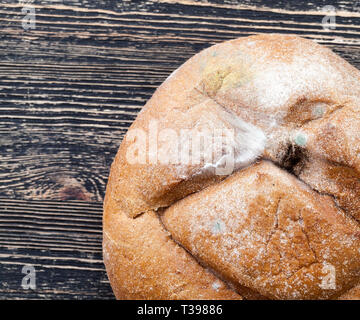 Schimmel, großen, runden Laib Brot und verdorbenes Essen sind lebensbedrohliche, Formen in verschiedenen Farben Stockfoto