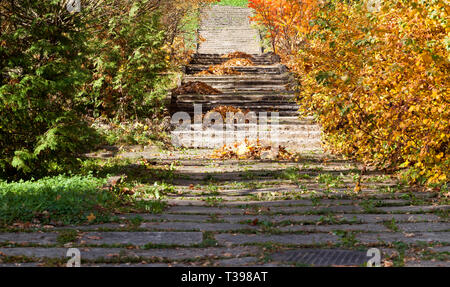 Alte Beton Fliesen mit Laub der Bäume im Herbst fallen, zu Fuß unterwegs Stockfoto