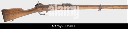 Dienstwaffen, Bayern, Werder Gewehr M 1869, Kaliber 11 mm, Nummer 22453, Additional-Rights - Clearance-Info - Not-Available Stockfoto