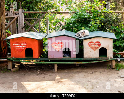Antalya, Türkei - 22. Februar 2019: Häuser für Obdachlose Katzen in der Innenstadt von Antalya. Heimatlose Katze schlafend auf dem Dach des Hauses. Stockfoto