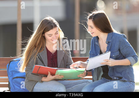 Zwei Studenten lernen Vergleich Noten sitzen auf einer Bank in einem Park Stockfoto