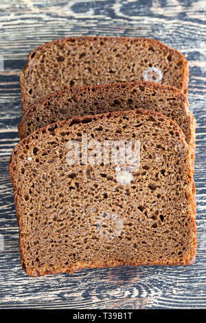 Liegen auf einem Holz- Oberfläche der echten schwarzen Holz ein paar Stücke von Roggen Brot mit Spuren von Schimmel Stockfoto