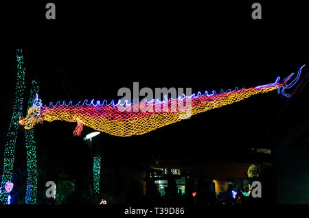 Portland, Oregon - 2018-11-21 - Licht Drache im jährlichen Winter Festival des Oregon Zoo, ZooLights Stockfoto