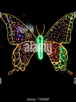 Portland, Oregon - 2018-11-21 - Licht Schmetterling am jährlichen Winter Festival des Oregon Zoo, ZooLights Stockfoto