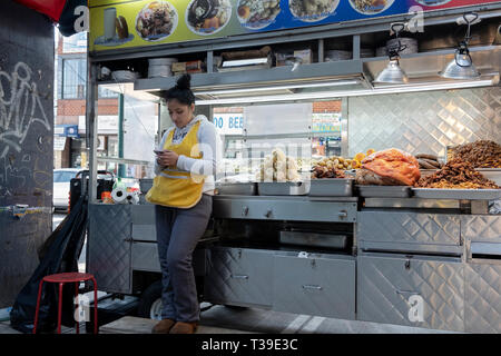 Eine Südamerikanische Frau verkaufen Gegrilltes Fleisch und andere Lebensmittel, die aus einem Wagen unter dem erhöhten und U-Bahn. In der Corona, Queens, NYC Stockfoto