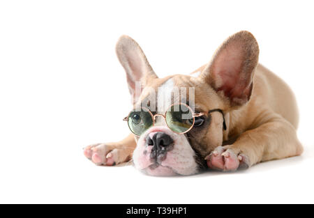 Süße französische Bulldogge tragen Sonnenbrillen und das Schlafen auf weißem Hintergrund, Haustier auf Sommer Konzept Stockfoto