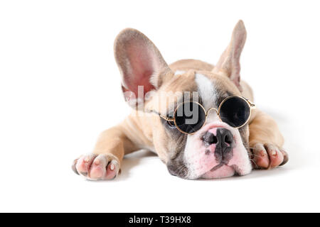 Süße französische Bulldogge tragen Sonnenbrillen und das Schlafen auf weißem Hintergrund, Haustier auf Sommer Konzept Stockfoto