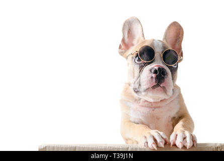 Süße französische Bulldogge tragen Sonnenbrille auf, auf weißem Hintergrund, pet im Sommer Konzept Stockfoto