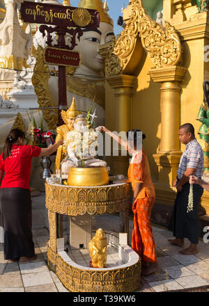 Pilger gießt Wasser über Buddha Statue an der Shwedagon Pagode, die offiziell genannten Shwedagon Zedi Daw und auch als der Große Dagon Pagode, Yango bekannt Stockfoto