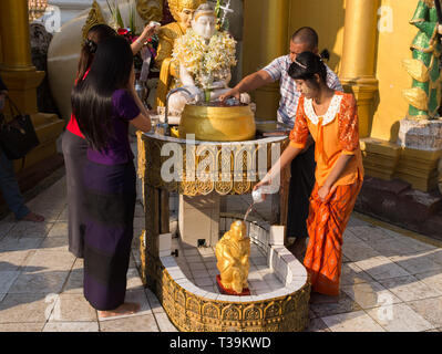 Pilger gießt Wasser über Buddha Statue an der Shwedagon Pagode, die offiziell genannten Shwedagon Zedi Daw und auch als der Große Dagon Pagode, Yango bekannt Stockfoto