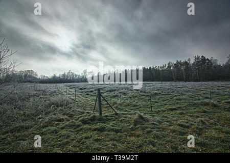 Moor Stockfoto