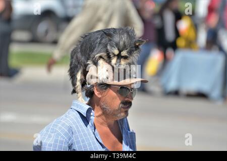 Hispanic Erwachsenen Mexikaner mit seinem echten Hund befreien auf seinem hatte in der Öffentlichkeit unter der tägliche Spaziergang zusammen am Sommer, der Messe in Santa Maria California USA Stockfoto