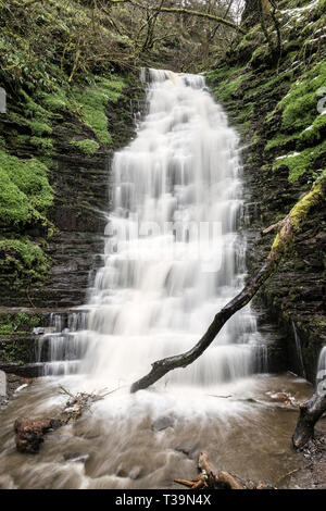 Der Wasserfall von Water-Break - Its-Neck, in der Nähe der Neuen Radnor, Presteigne, Powys, Großbritannien Stockfoto