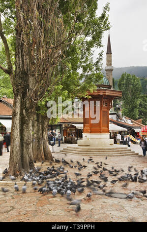 Sebilj Brunnen auf Bascarsija Square in Sarajewo. Bosnien und Herzegowina Stockfoto