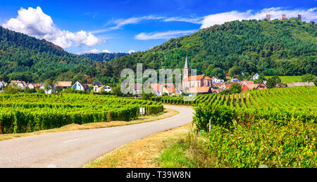 Beeindruckende Riquewihr Dorf, mit Blick auf Weinberge und Häuser, Elsass, Frankreich. Stockfoto