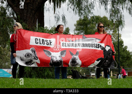 Hunderte von Tierschützern sammelten in Melbournes CBD am 6. April 2019, Victoria, Australien. Stockfoto