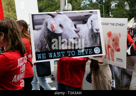 Hunderte von Tierschützern sammelten in Melbournes CBD am 6. April 2019, Victoria, Australien. Stockfoto