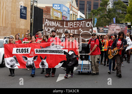 Hunderte von Tierschützern sammelten in Melbournes CBD am 6. April 2019, Victoria, Australien. Stockfoto