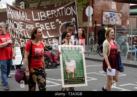 Hunderte von Tierschützern sammelten in Melbournes CBD am 6. April 2019, Victoria, Australien. Stockfoto