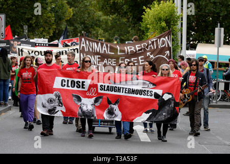 Hunderte von Tierschützern sammelten in Melbournes CBD am 6. April 2019, Victoria, Australien. Stockfoto